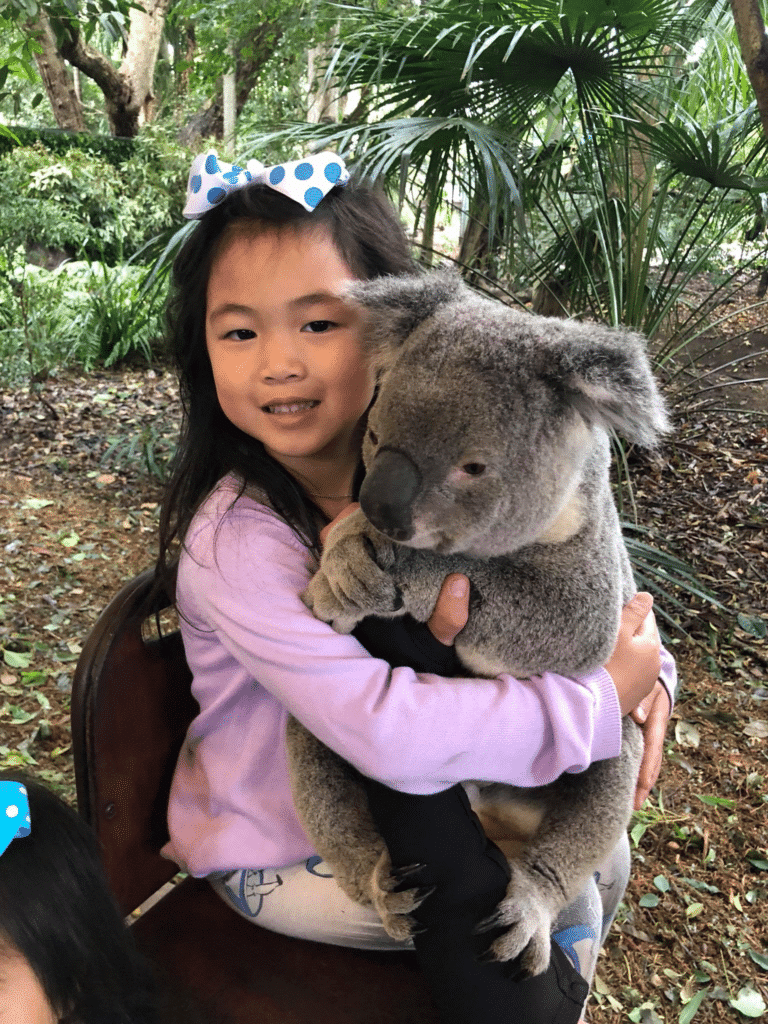 Lone Pine Koala Sanctuary