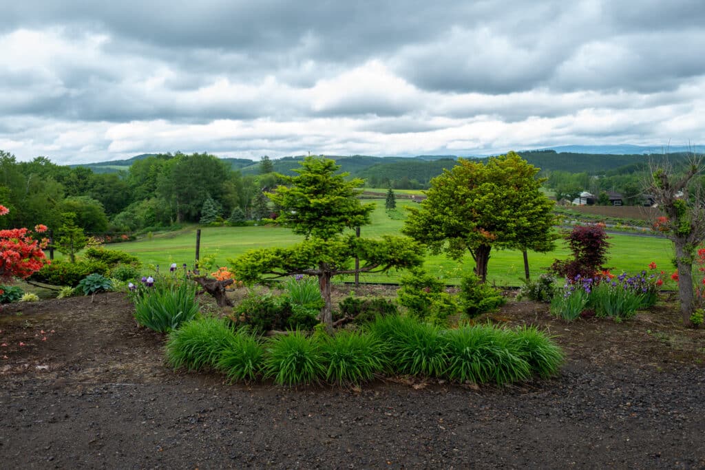 Day Trip to Biei and Furano 
