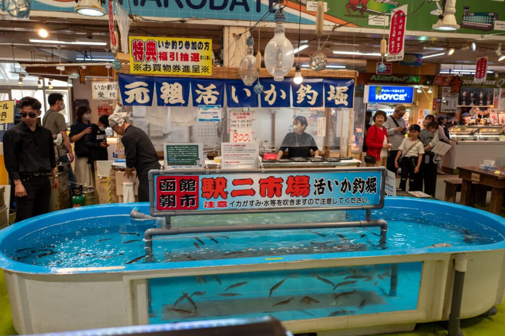 Hokodate Squid