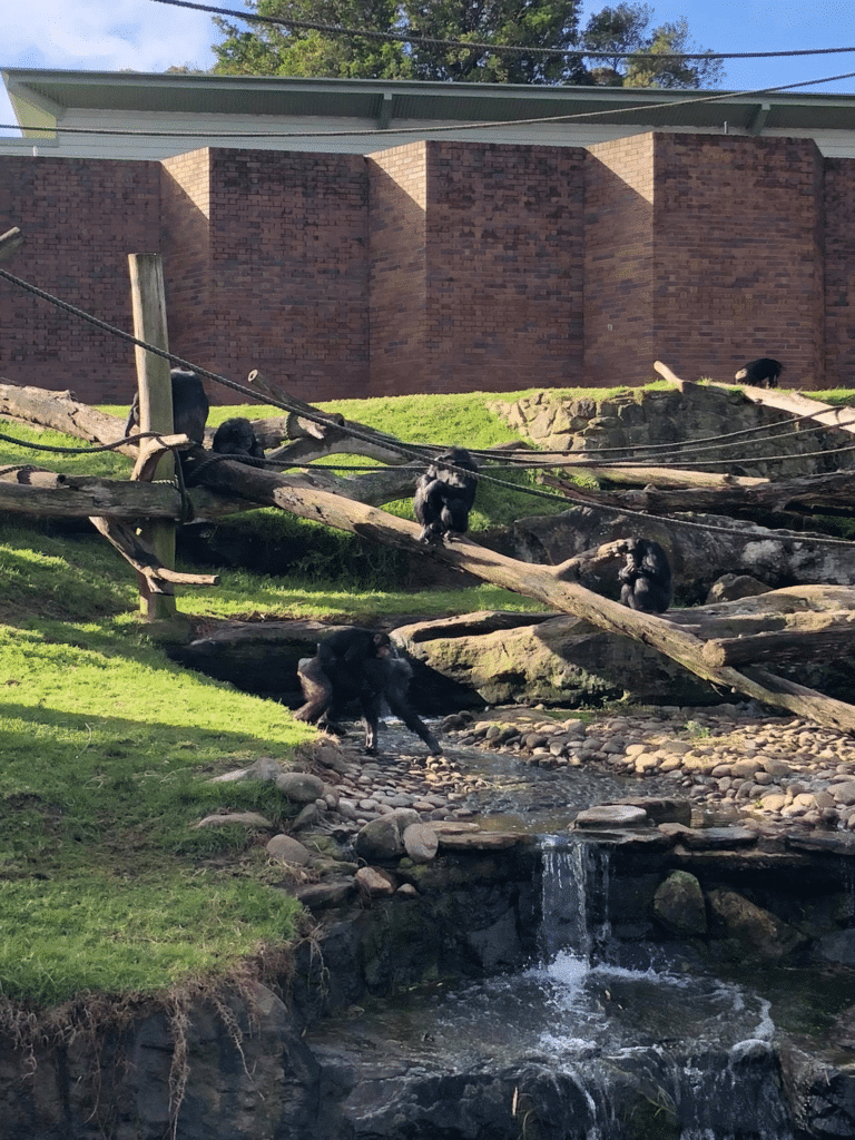 Taronga Zoo