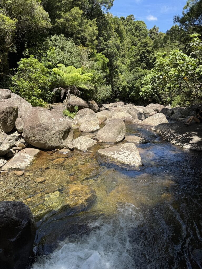 Hiking in Matamata