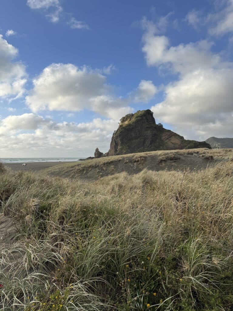 Piha beach